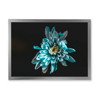 Дизайнарт' Топ изглед на бяло и синьо цвете ' традиционна рамка Арт Принт