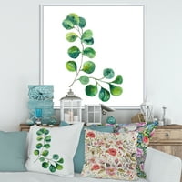 Зелено евкалиптово растение клонки в рамка живопис платно Арт Принт