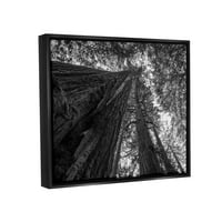 Ступел индустрии небе високо дърво задаваща снимка реактивен Черен плаващ рамка платно печат стена изкуство, дизайн от Аарон Матисън