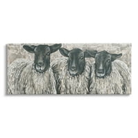 Ступел индустрии три овце Трио селски ферма животински портрет галерия увити платно печат стена изкуство, дизайн от Холихокс изкуство